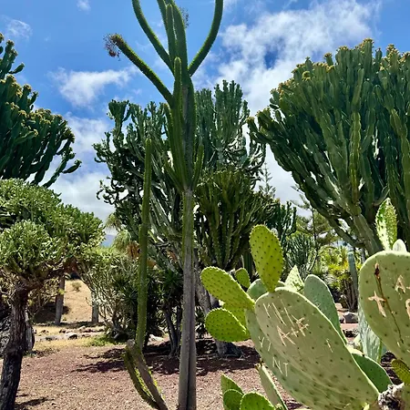 Prázdninový dům Zen Ocean View House Tenerife