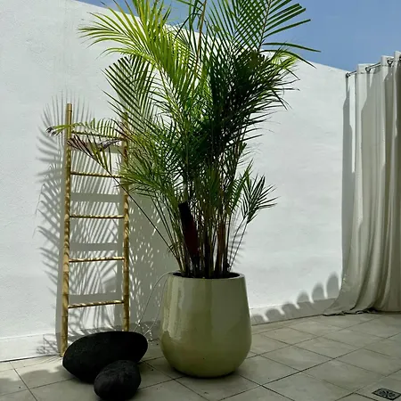 Semesterbostad Zen Ocean View House Tenerife