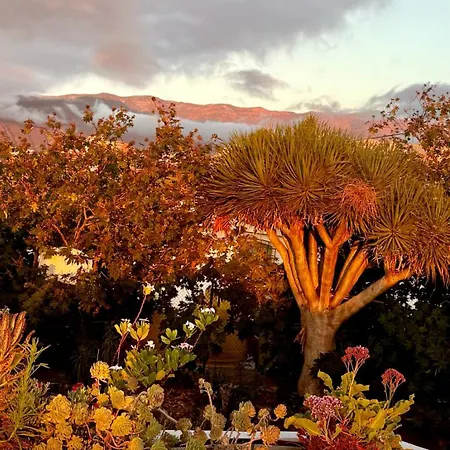 Zen Ocean View House Tenerife Semesterbostad