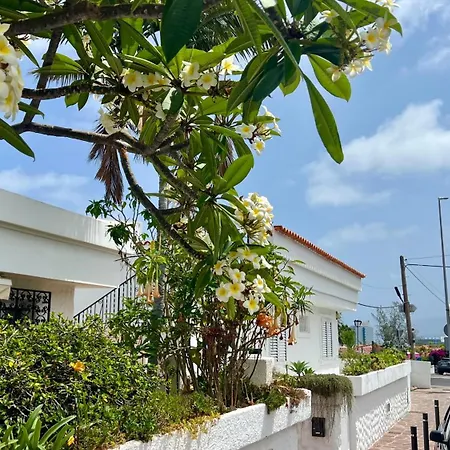 Zen Ocean View House Tenerife * Los Realejos