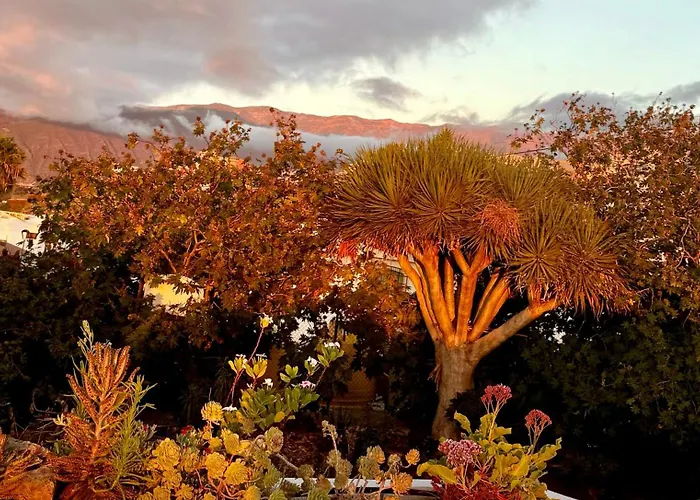 Zen Ocean View House Tenerife Nyaraló